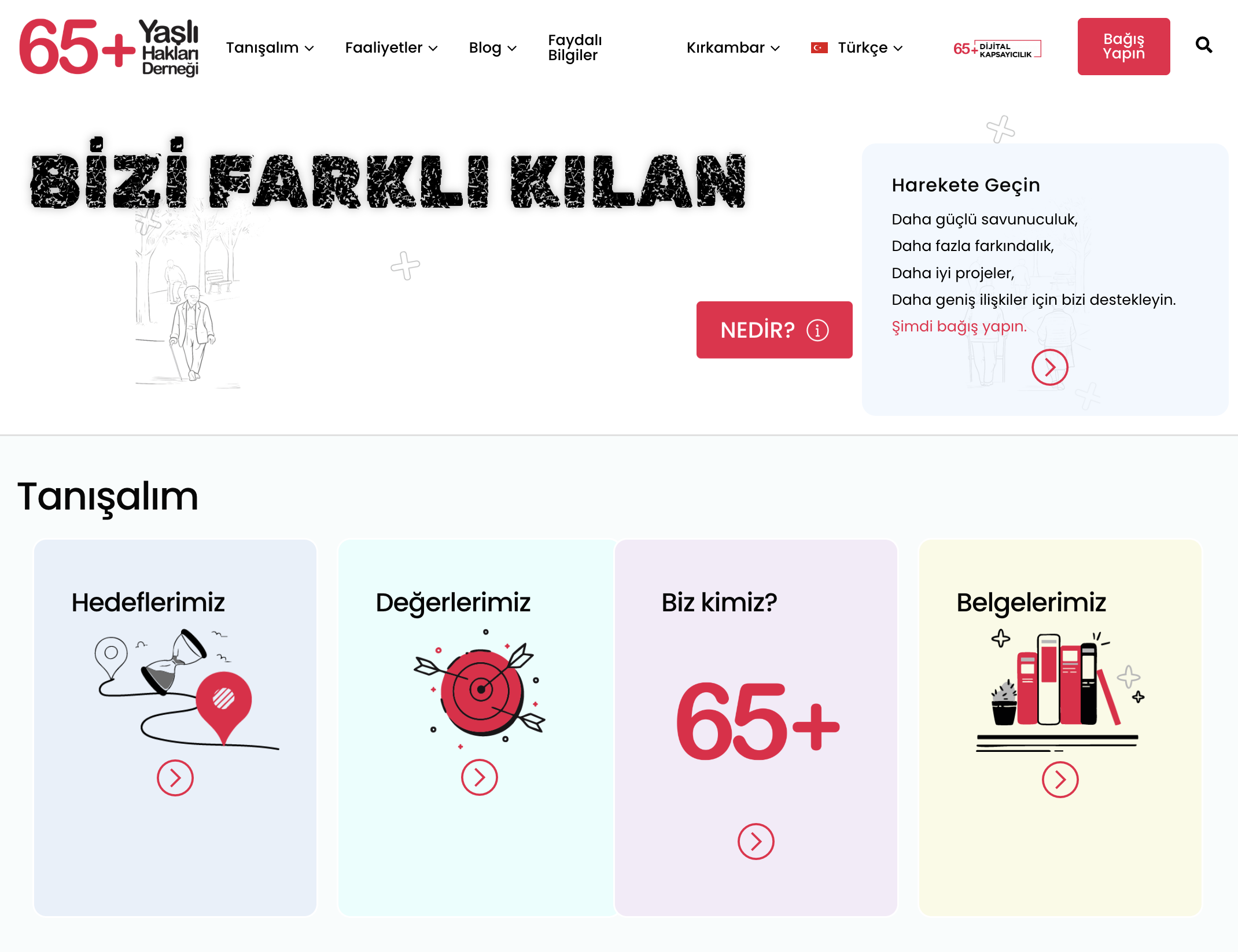 Yaşlı Hakları Derneği: Website, Server and Email Maintenance